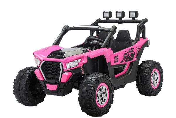 Elektriline laste UTV RZR2000 4x4, 2 istekohta, 180W, 12V, premium varustus, roosa